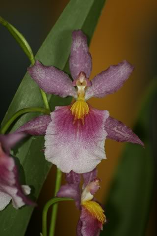 _MG_0894640x480.jpg