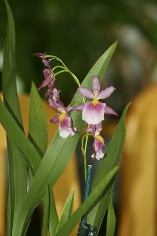 _MG_0896640x480.jpg
