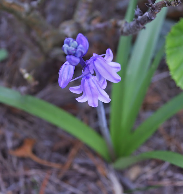 _MG_2256.JPG