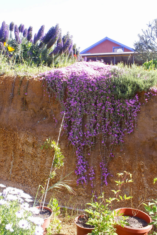 _MG_2930.JPG