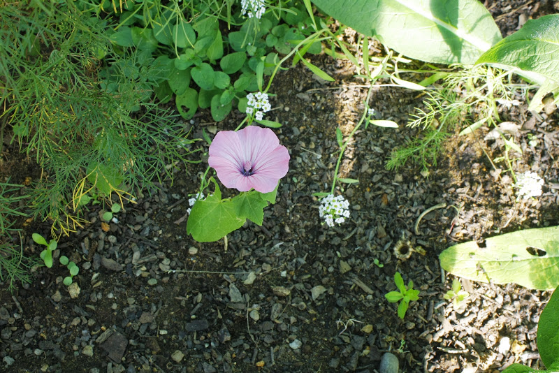 _MG_8637.jpg