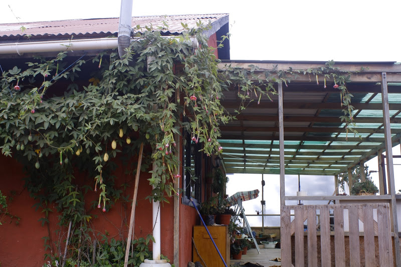 _MG_9055.jpg