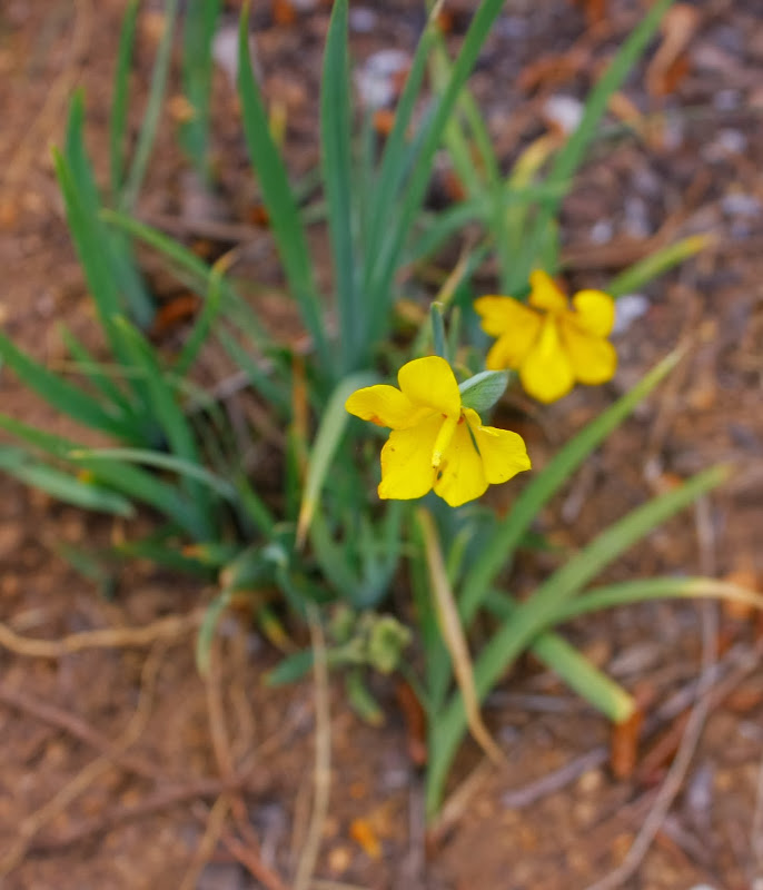 _MG_9358.JPG