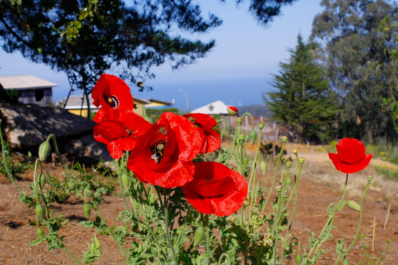 _MG_9956.JPG