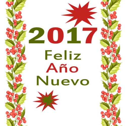 A%C3%B1o-nuevo-Im%C3%A1genes-del-2017-Imagenes-feliz-2017-6.jpg