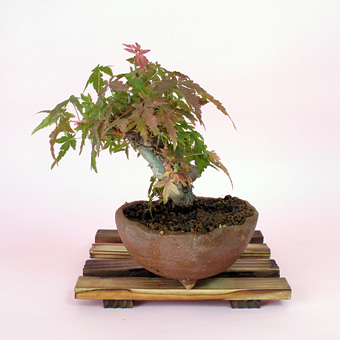 a00011-m11-1.jpg