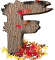 a006.gif