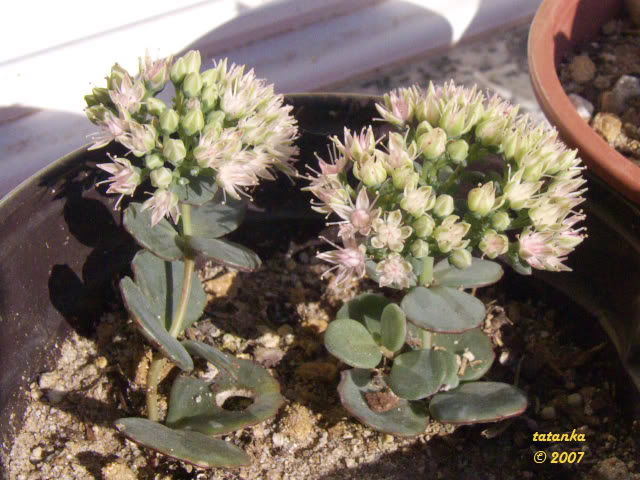 A02P1000852.jpg