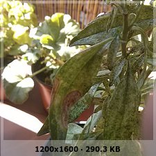a0657cb554a3c36b920608e9f43ec337o.jpg