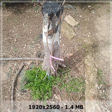 a0d60130338aaa2829306548d2350f5fo.jpg