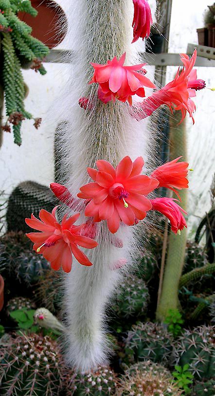 a0feb85a6fc9f71b109f41267c23e2dd.jpg