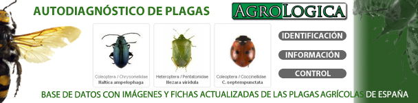 a1bu.jpg