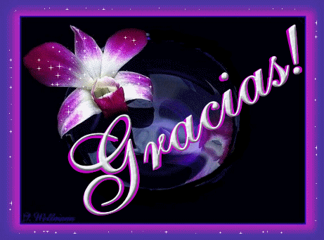 a252520gracias7knet3.gif