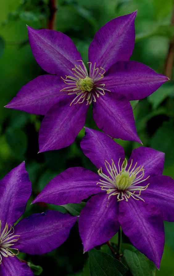 a2b50719cae0eeeb1d7e3b4739e2243d.jpg