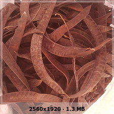 a320f79c0f0ce75eeec7ed8c150c8311o.jpg