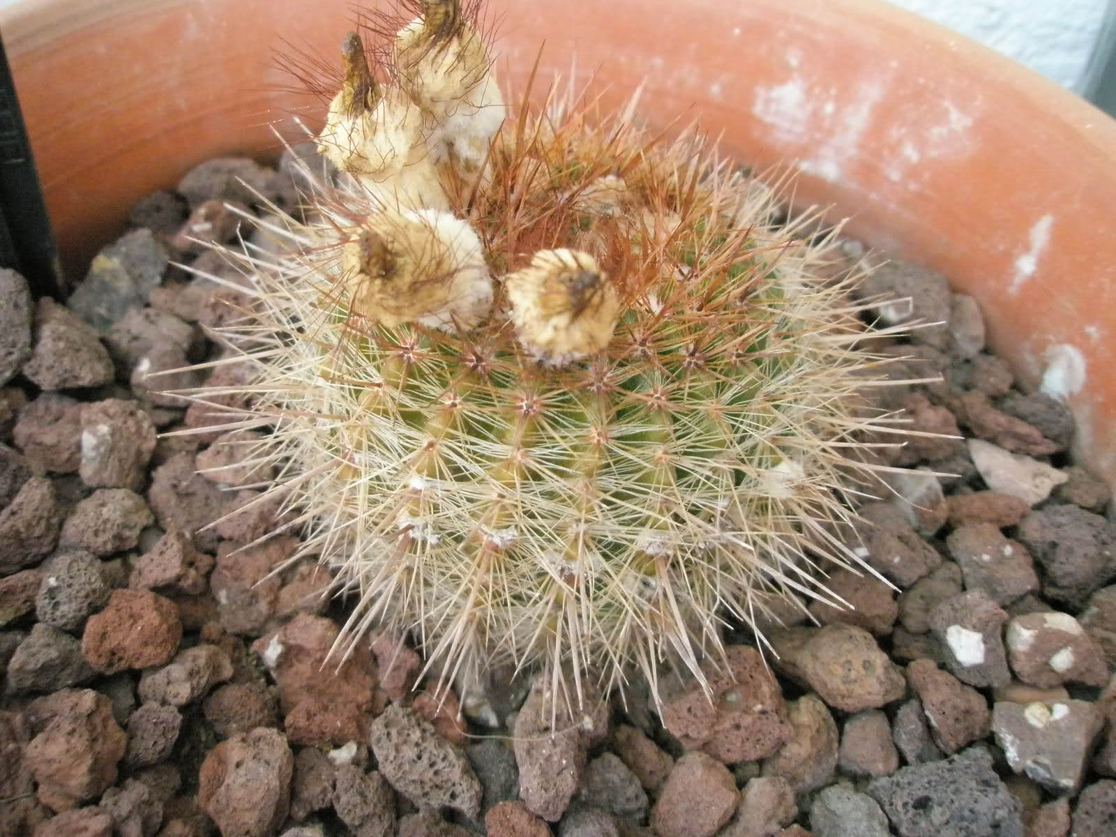 a3ozmu.jpg