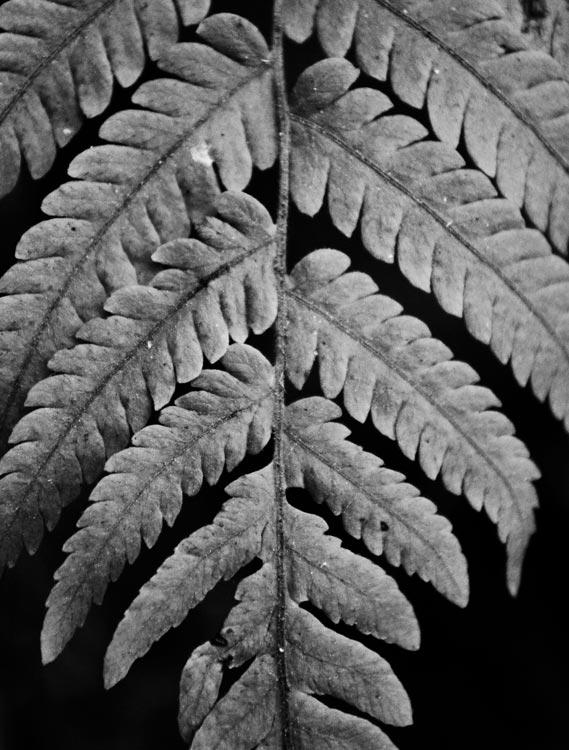 a44cc6_1646031a0521494c957aa48efd758b82.jpg