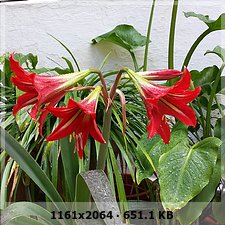 a77d84de7e4e441d410b2e1646d7ac71o.jpg