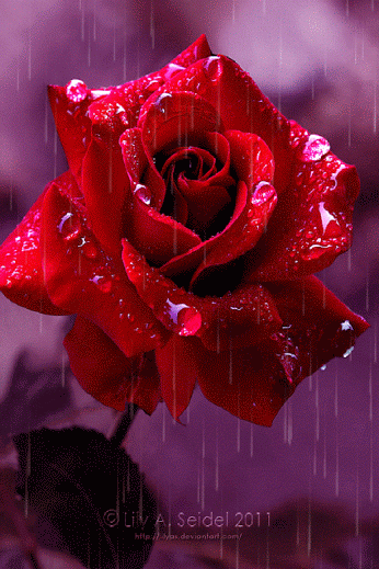a81f63aff0690c131fb9c1c680d8a9fa.gif