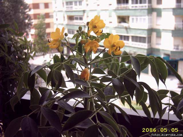 a8a80277.jpg
