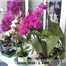 a8fb748b95efd974f7275ef62a498abbo.jpg
