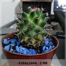 a90083f690149b5df61f9bab82887417o.jpg