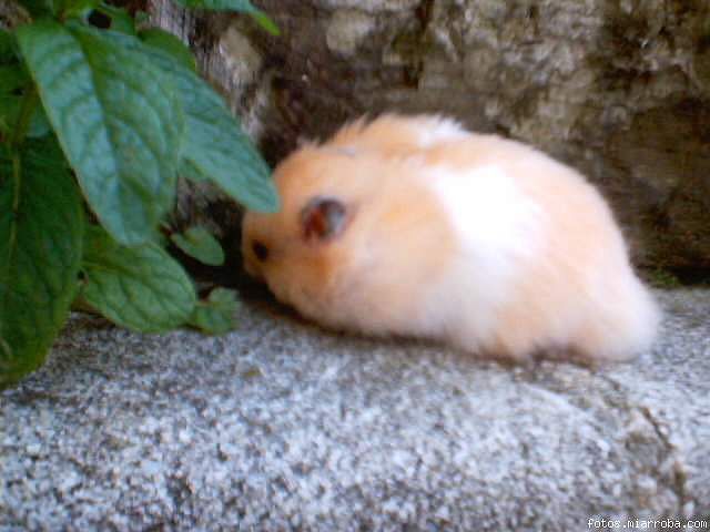 a9988070.jpg