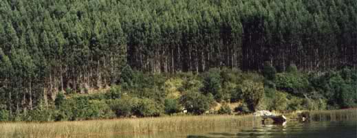 a9l40n.jpg
