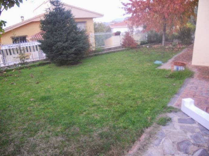 a_1404365.jpg
