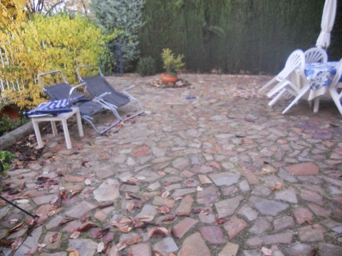a_1404366.jpg