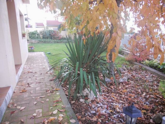 a_1404370.jpg