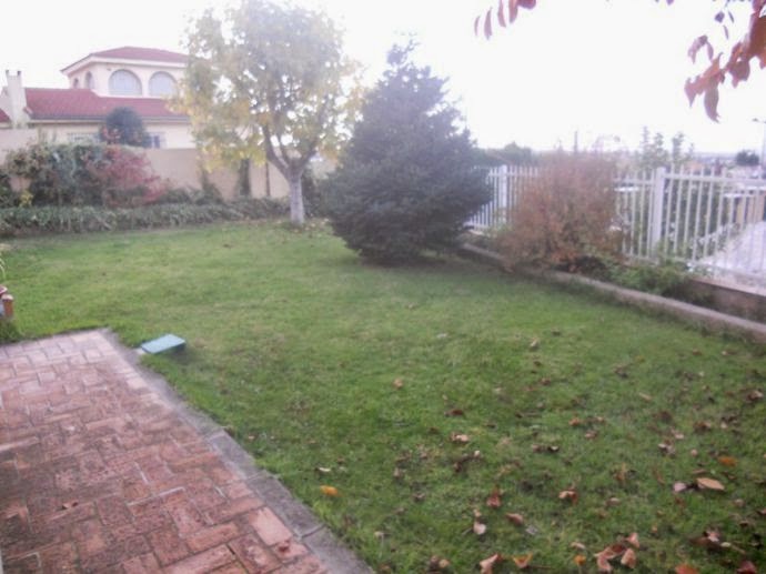 a_1404373.jpg