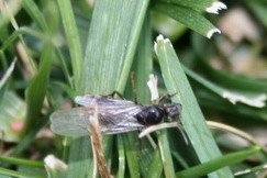 a_BichoIMG_18881.jpg