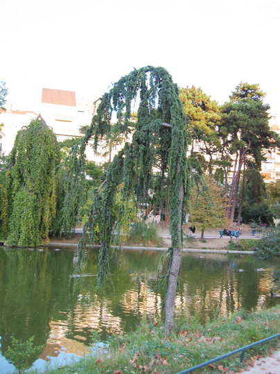 aa_bajrIMG_0013.jpg