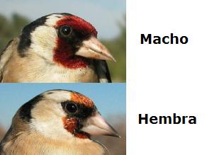 AAA1.JPG