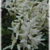 ab0400_tn.jpg