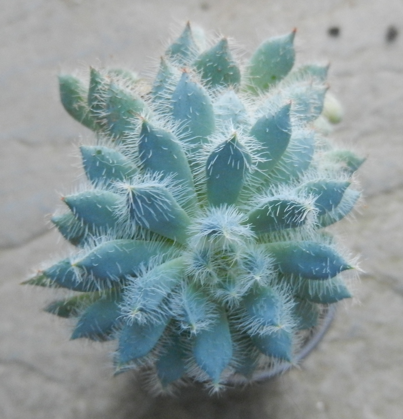 ab1e883f_o.jpe