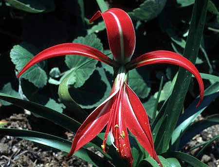 ab988f23tc8c61f52538d&690.jpg
