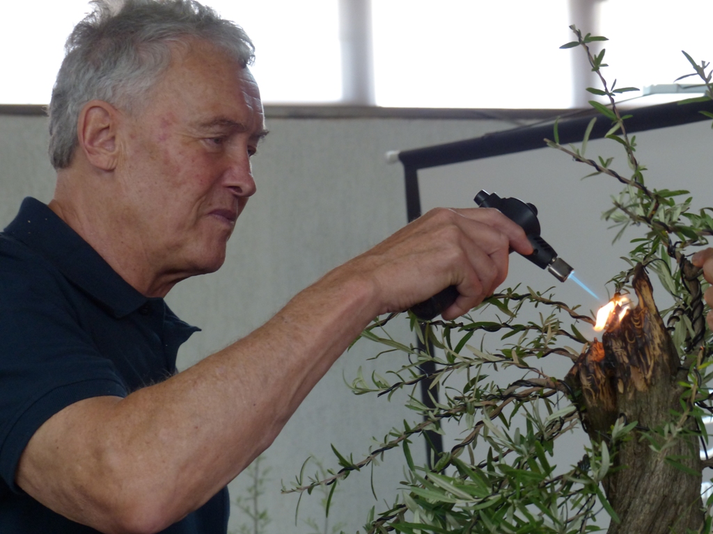 ABC3-Walter-Pall-doing-bonsai-demo-Buddleja-saligna-refining-carving-by-burning-the-carved-wood6.jpg