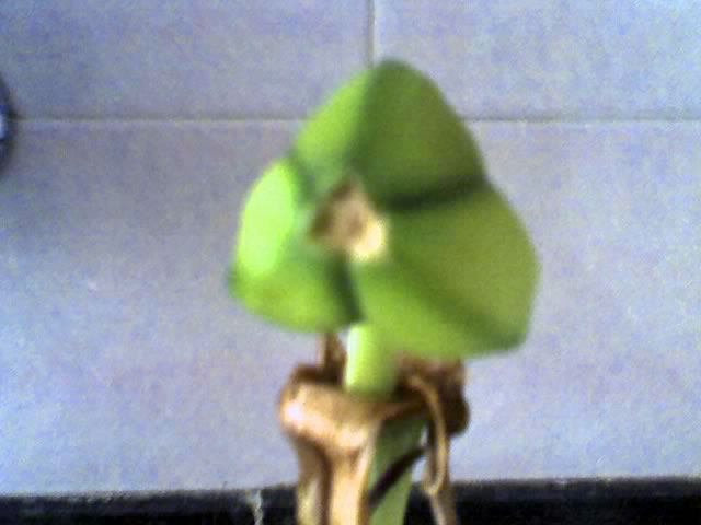 ABCD0003_edited.JPG