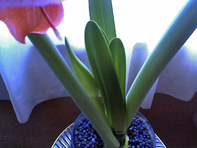 ABCD0009_edited.JPG
