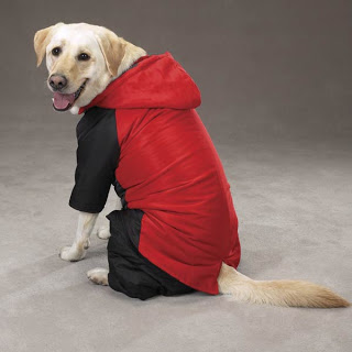 abrigo+para+perro++5.jpg