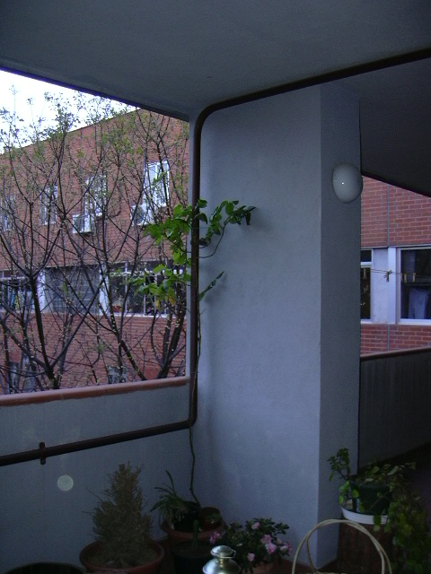 abril06%20040.jpg
