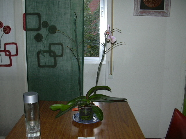 abril06%20041.jpg