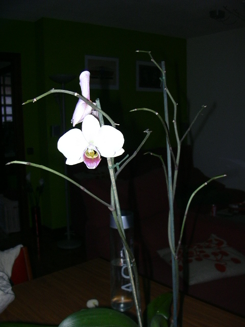 abril06%20042.jpg