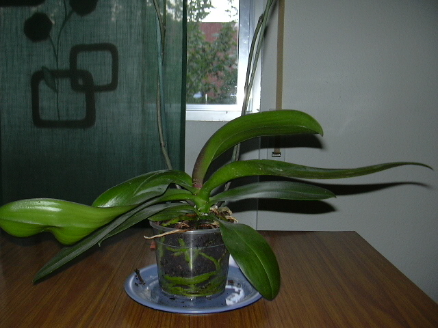 abril06%20045.jpg