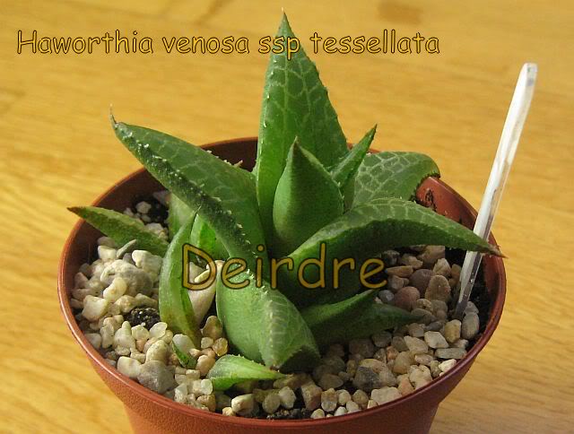 abril11.jpg