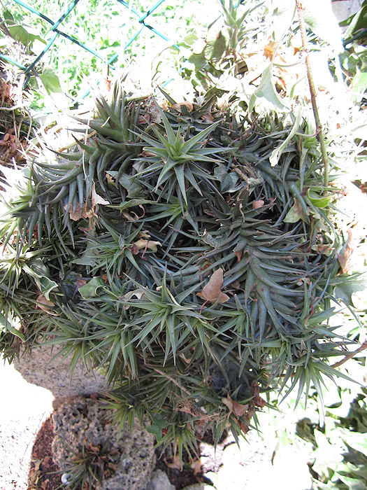 ABRIL20112.jpg
