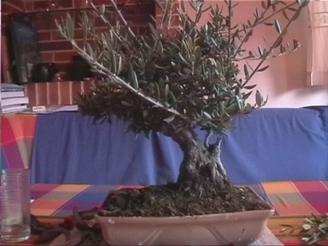 abril_0001.jpg
