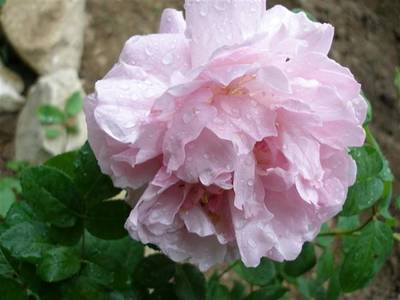 abril_2006_199_Large_Small_.jpg